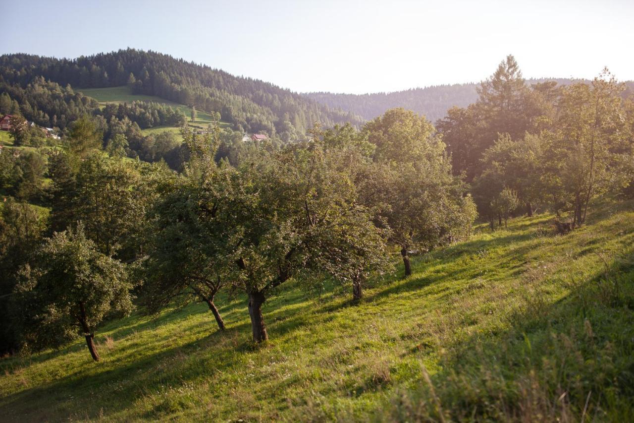 Pasieka - Dom Wypoczynkowy Bacza Экстерьер фото