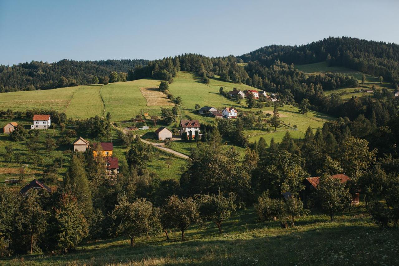 Pasieka - Dom Wypoczynkowy Bacza Экстерьер фото